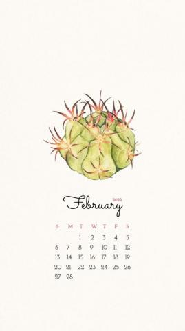 Cactus February Calendar Monthly Photo Rawpixel