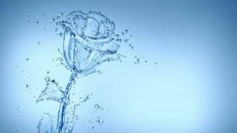 Water Spray Flower Bud Rose Wallpaper Background 4k Ultra HD