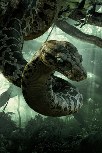 Anaconda Movie Wallpaper