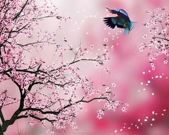 Chinese Flower Background HD Wallpaper