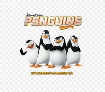 Kowalski Skipper Madagascar Desktop Wallpaper Film Png