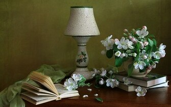 Photography Still Life Wallpaper