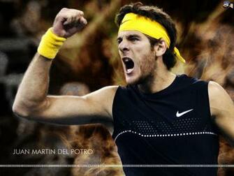 Juan Martin Del Potro Wallpaper