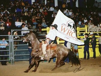 Rodeo Horses Wallpaper In Stay The Horse