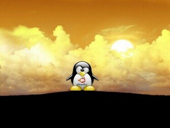Best Ubuntu Wallpaper