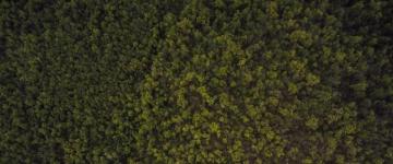 A Field Of Green Wallpaper Ultrawide Monitor