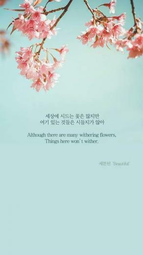 Svt Seventeen Lyrics Quotes Kpop HD Wallpaper