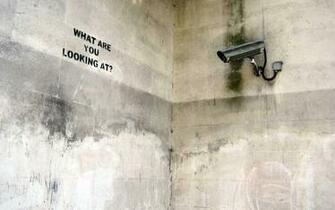 What Are You Looking At Wallpaper
