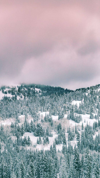 Gorgeous Winter Wallpaper For iPhone