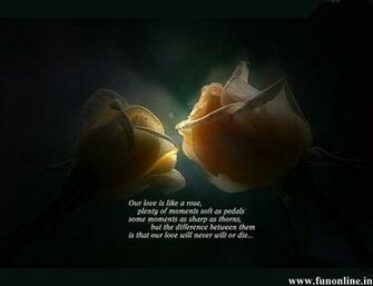 Love Poems Wallpaper Beautiful HD For