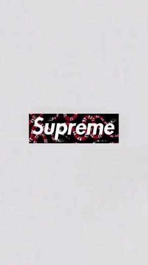 Supreme Supremexgucci Gucci Guccigang Guccisnake