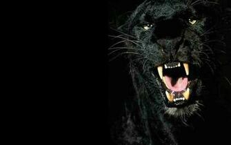 Black Panther Background