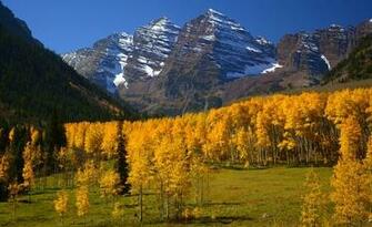 Aspen Colorado