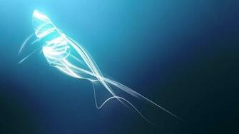 Beautiful Os X HD Wallpaper