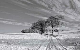 Winter Black And White Wallpaper