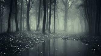 Creepy Dark Forest X