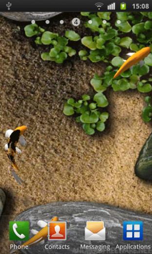 Koi Live Wallpaper App For Android