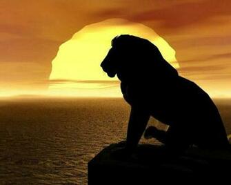 Lion King Wallpaper HD