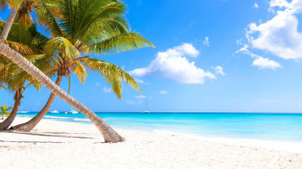 Caribbean Beach Wallpaper
