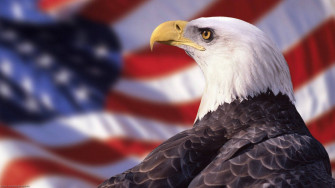 Us Eagle Wallpaper
