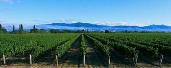 Panorama Photos Landscape Wallpaper