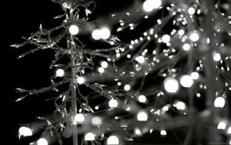 Christmas Photography Wallpaper HD I Image