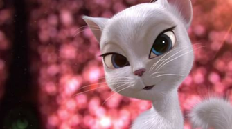 Cats Image Angela HD Wallpaper And Background Photos
