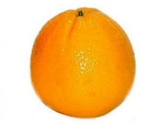 Oranges Clip Art Pictures Quality Clipart
