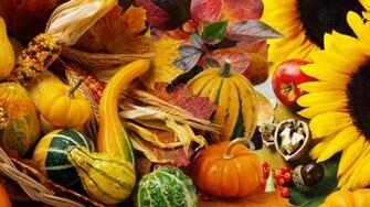 Gourds Wallpaper
