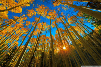 Early Fall Desktop Wallpaper