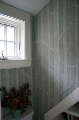 Birch Tree Wallpaper Love It