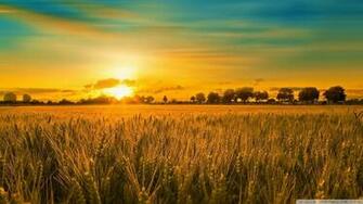 Wallpaper Summer Landscape 1080p HD Upload At February