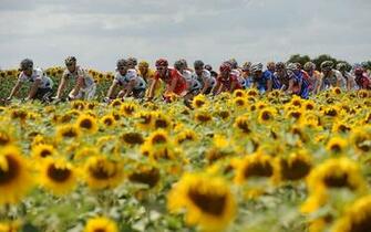 Description Sports Wallpaper Tour De France Cycling