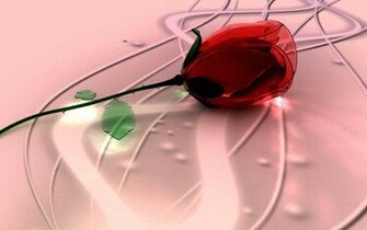 Wallpaper Glass Rose