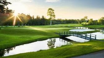 Golf Background Net