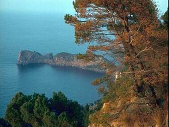 Pacific Northwest Coast Wallpaper Picture
