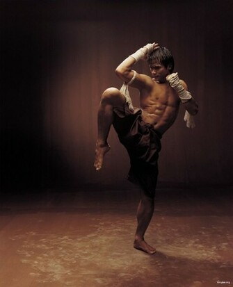 Tony Jaa Wallpaper Golden Pics