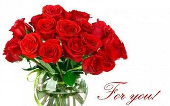 Rose Flowers HD Wallpaper Lovely 4u