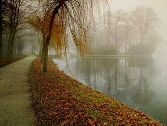 Wallpaper Fall Desktop Background HD Background