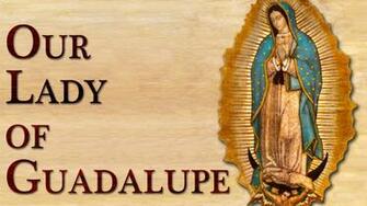 Our Lady Of Guadalupe Mass And Potluck Dinner St Joseph On