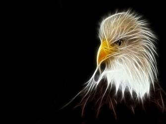Eagle Abstract Wallpaper Top Dekstop Desktop No