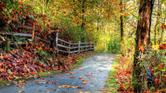 HD Wallpaper Nature 1080p