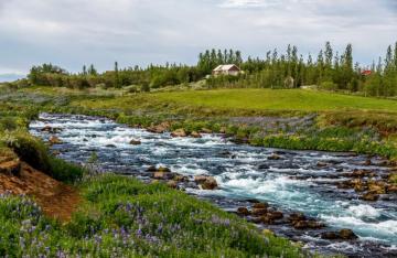 Desktop Wallpaper Iceland Creek Nature Grasslands Stone