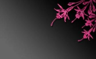 Pink Floral Wallpaper By Autumndreaming