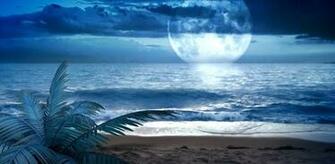Beach Live Wallpaper Android Apps On Google Play