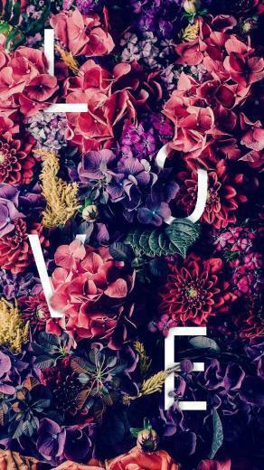 Love Flower Poster Photoshop In Floral Wallpaper Desktop