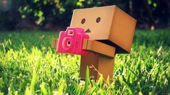 Funny Cover HD Wallpaper Of