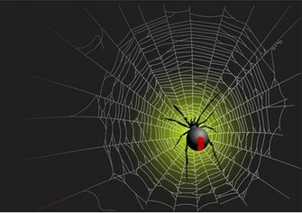 Vector Spider Web Design Background Graphics