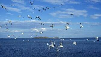 Pianeti Screensaver Widescreen Sfondi Gallery Screensavers Jpg