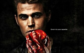 Paul Wesley As Stefan Hq Wallpaper